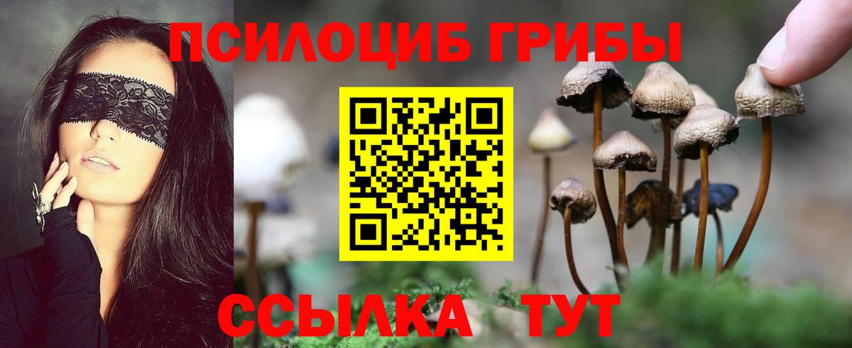 Псилоцибиновые грибы GOLDEN TEACHER Артёмовский